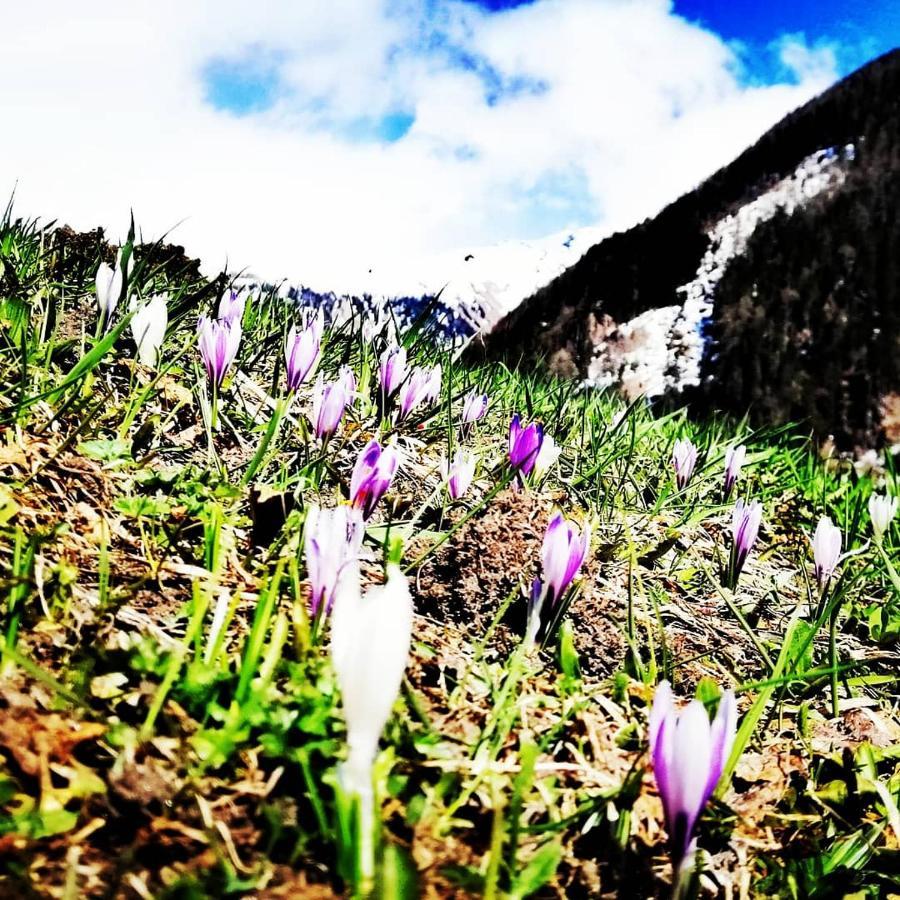 Ferienwohnungen Niederarnigerhof Familie Bauernfeind Kals-am Großglockner Buitenkant foto