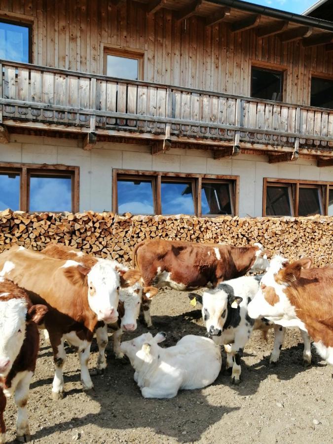 Ferienwohnungen Niederarnigerhof Familie Bauernfeind Kals-am Großglockner Buitenkant foto
