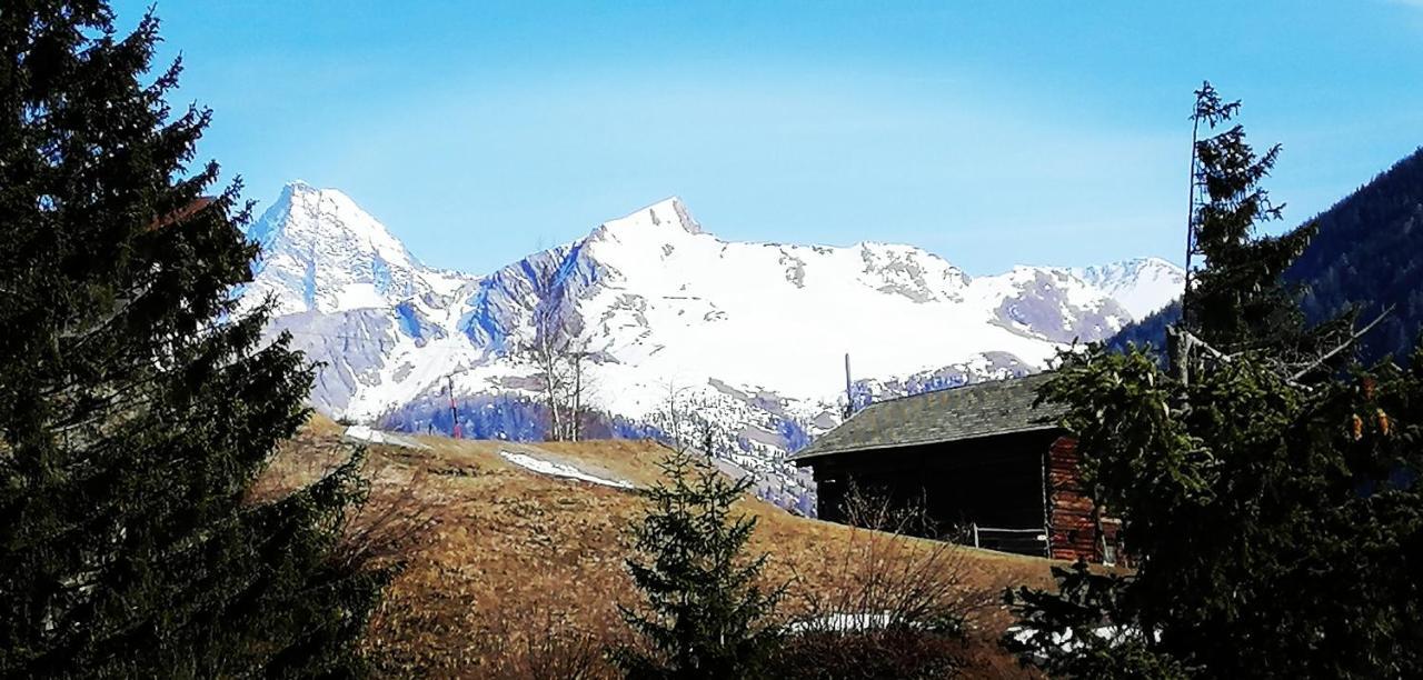 Ferienwohnungen Niederarnigerhof Familie Bauernfeind Kals-am Großglockner Buitenkant foto