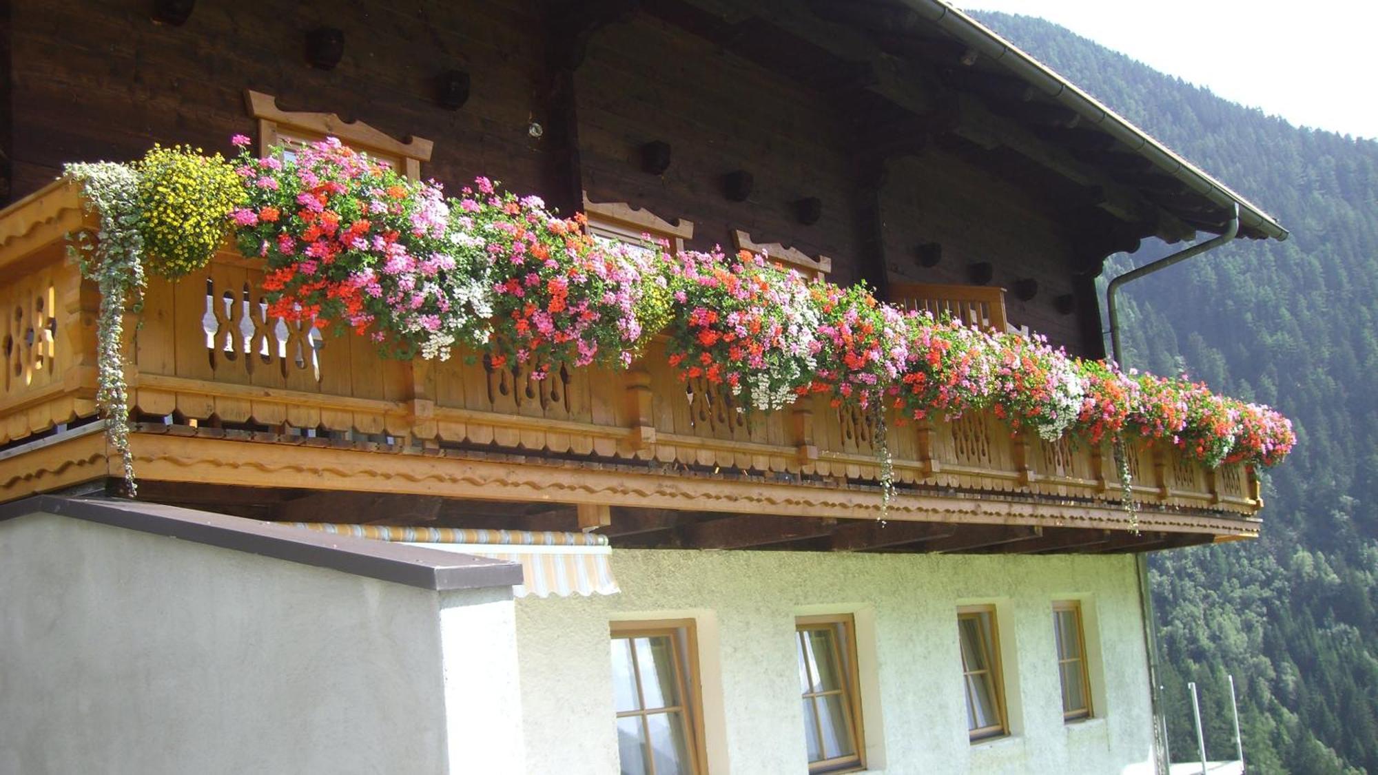 Ferienwohnungen Niederarnigerhof Familie Bauernfeind Kals-am Großglockner Buitenkant foto